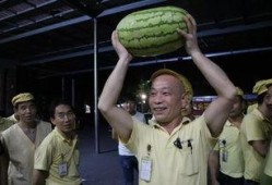 吃瓜爆料每日大赛最新动态 吃瓜视频在线观看全集,最新动态揭秘，精彩视频全集在线观看